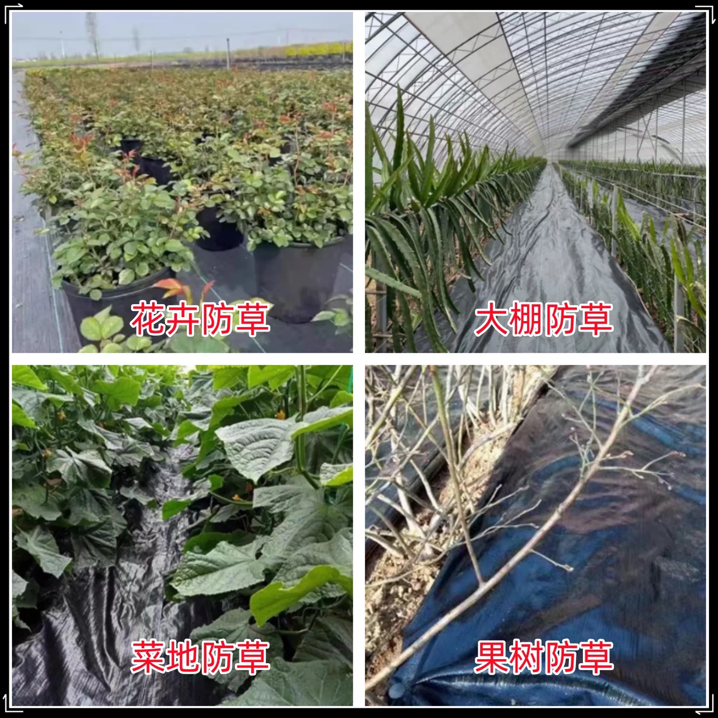 德阳市po膜防草布 - 哪里好