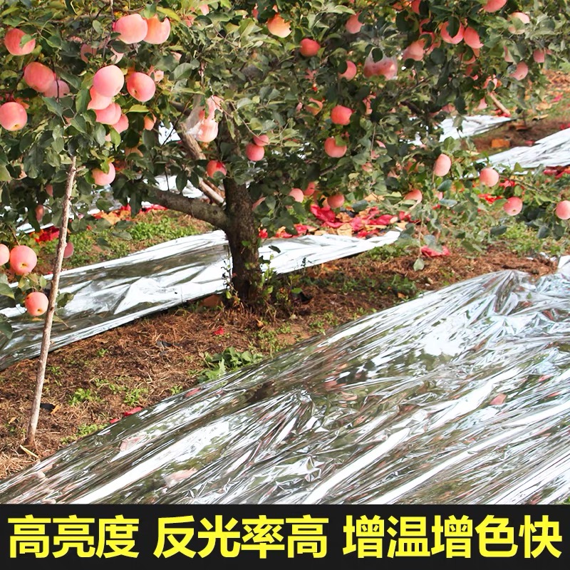 德阳市防草布果树反光膜 - 排名